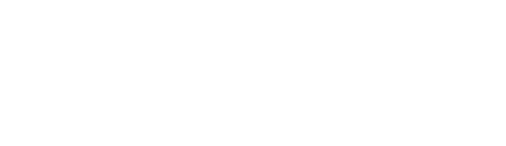 VZBLT Logo